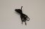 Picture of Temperature probe 120" 0419-00023